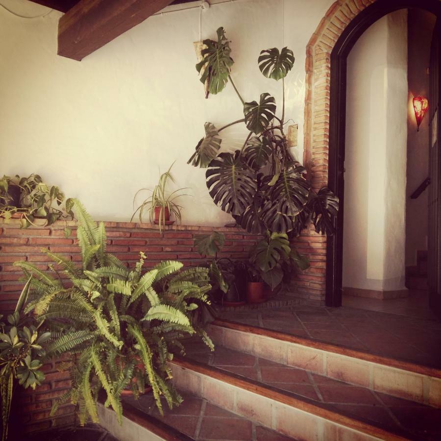 Casa Lareymora Apartment Algarrobo