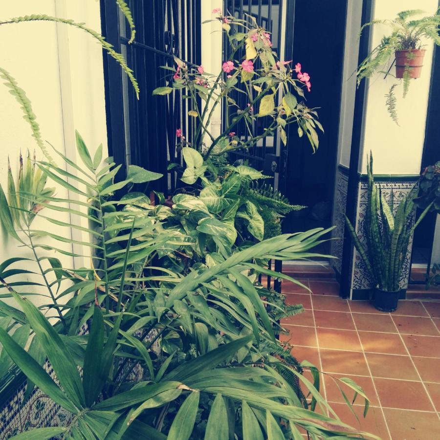 Casa Lareymora Algarrobo